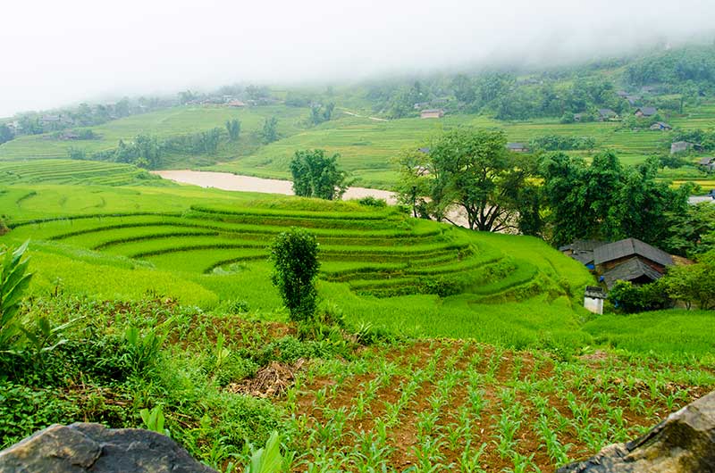 205 - Vietnam - Sapa - paisaje bajo la lluvia